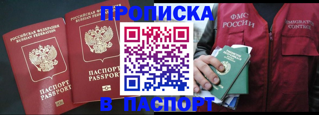 прописка 2025 в Щёкино
